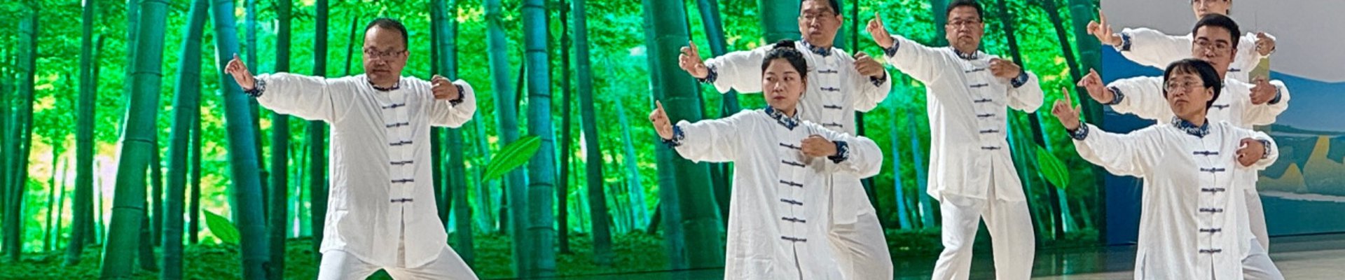 UED案例